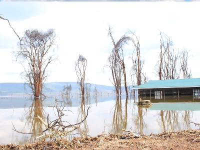 Baringo river overflowing